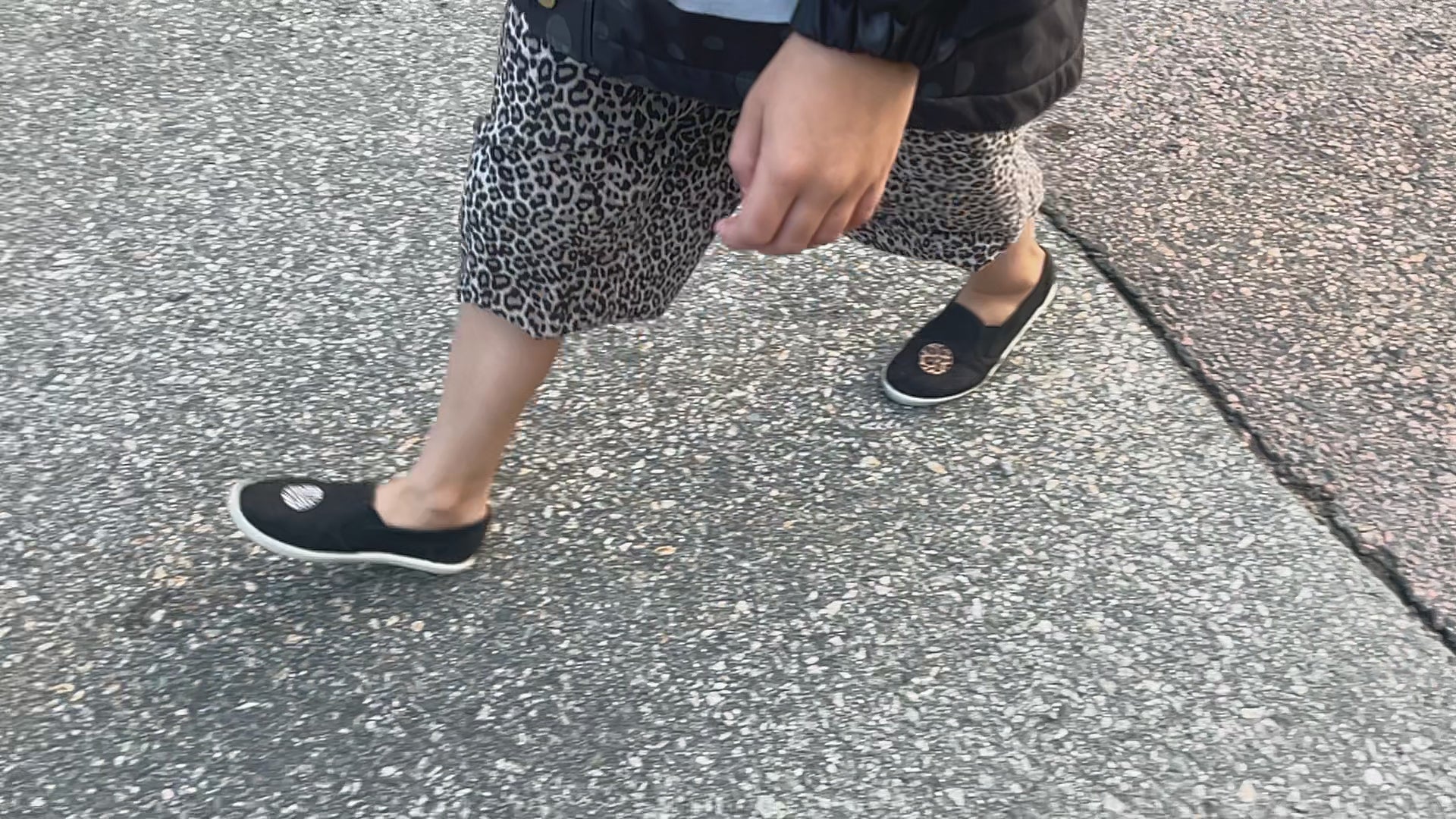 Mosquito Patches - Safari