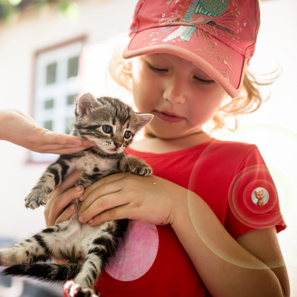 Mosquito Patches - Cats & Dogs